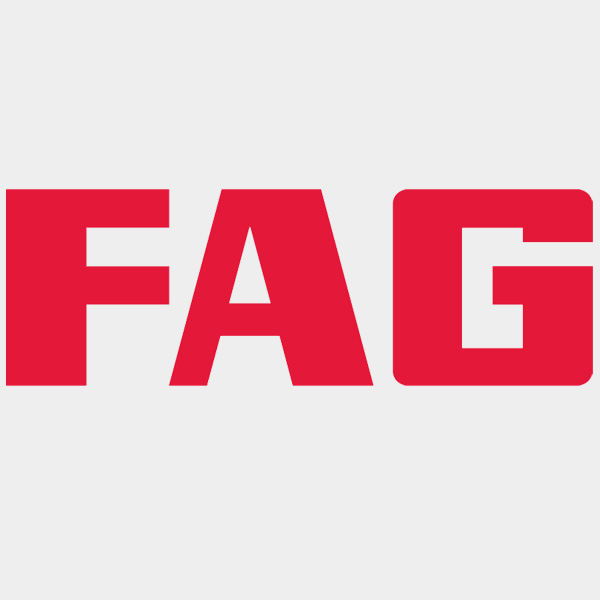 FAG bearing